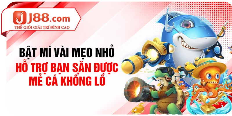 Bật mí vài mẹo nhỏ hỗ trợ bạn săn được mẻ cá khổng lồ