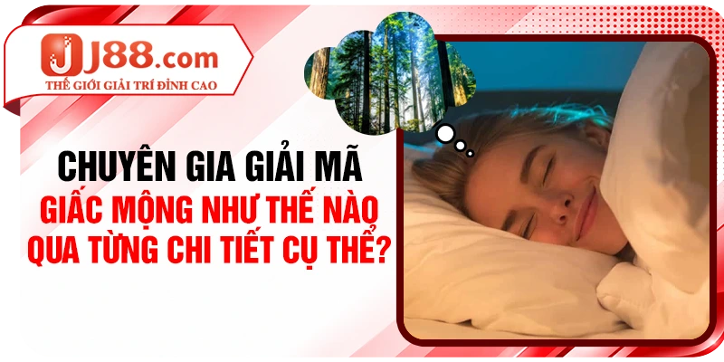 Chuyên gia giải mã giấc mộng như thế nào qua từng chi tiết cụ thể?