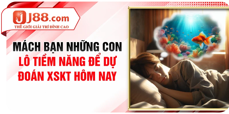 Mách bạn những con lô tiềm năng để dự đoán XSKT hôm nay