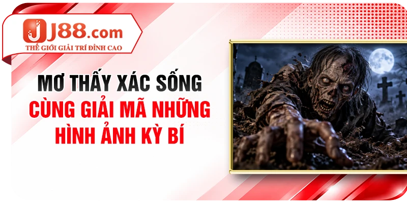 Mơ Thấy Xác Sống - Cùng Giải Mã Những Hình Ảnh Kỳ Bí