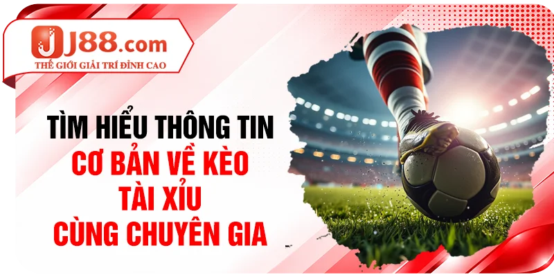 Tìm hiểu thông tin cơ bản về kèo Tài Xỉu cùng chuyên gia