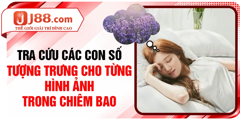 Tra cứu các con số tượng trưng cho từng hình ảnh trong chiêm bao